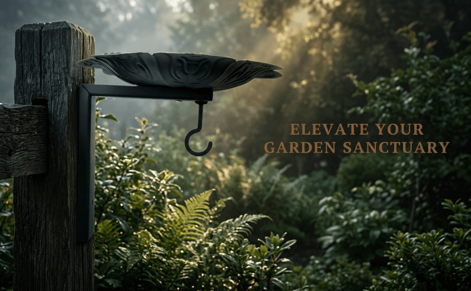 A+场景图