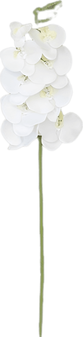 仿真蝴蝶兰花束